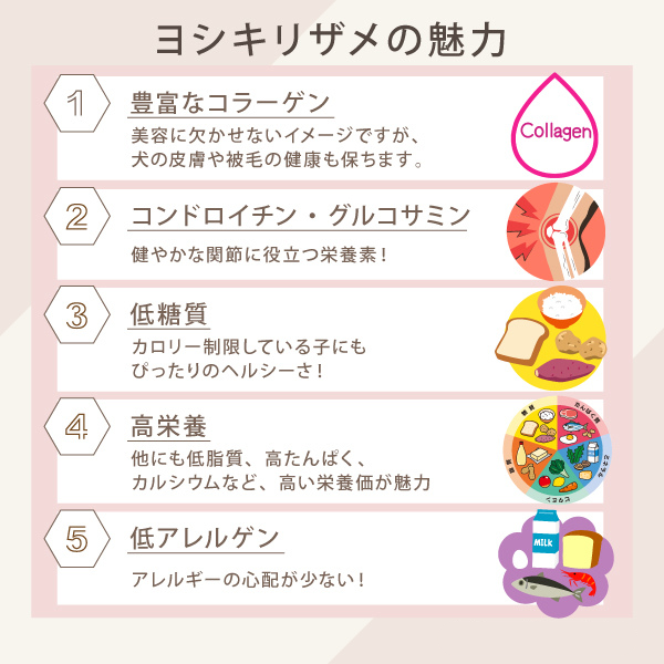 わんぷりキッチン【海の幸】