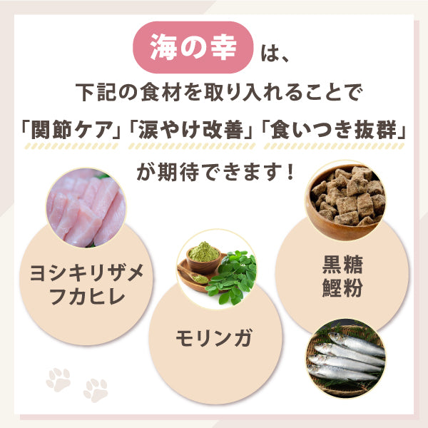 わんぷりキッチン【海の幸】