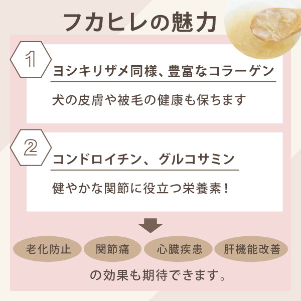 わんぷりキッチン【海の幸】